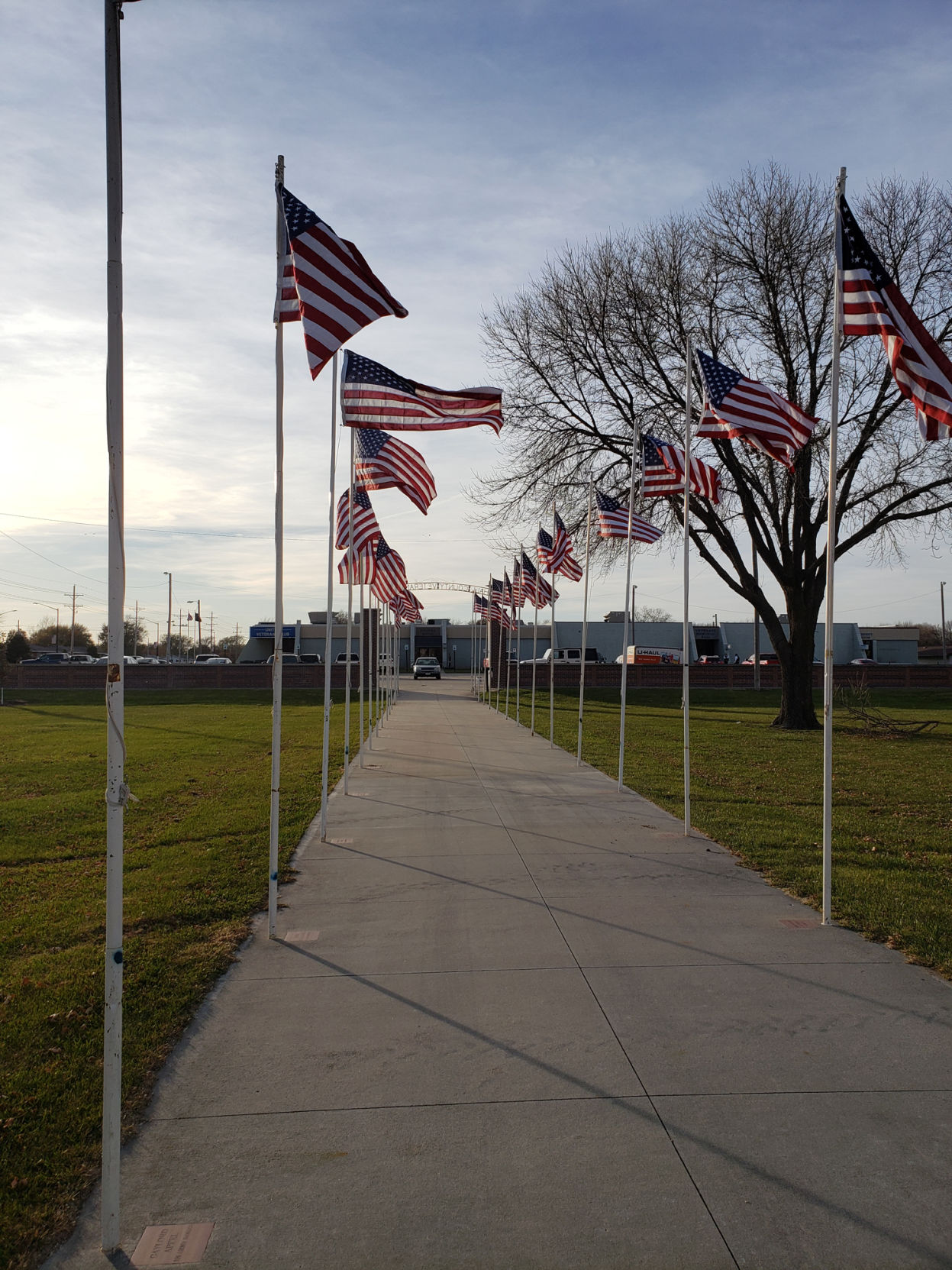 Flags_003.JPG